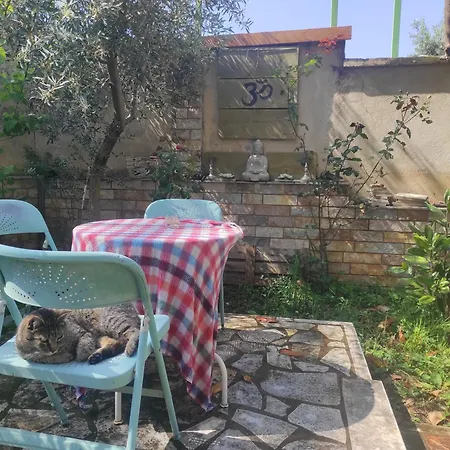 Pinwheel & Rooftop Bar * فلورا