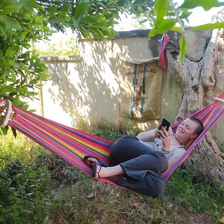 Pinwheel & Rooftop Bar * فلورا