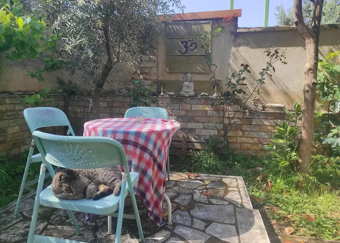 Pinwheel & Rooftop Bar * Vlorë