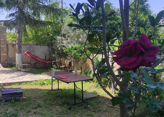 Hostel Pinwheel & Rooftop Bar