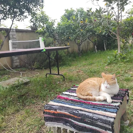 Pinwheel & Rooftop Bar Vlorë