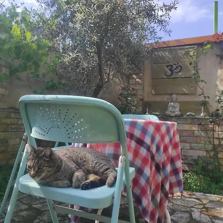 Hostal Pinwheel & Rooftop Bar *