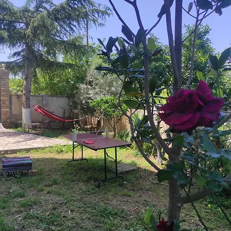 Hostel Pinwheel & Rooftop Bar
